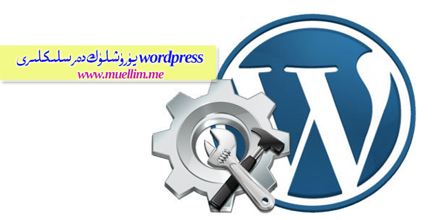 WordPress پارولىنى قايتۇرۇپ كېلىش