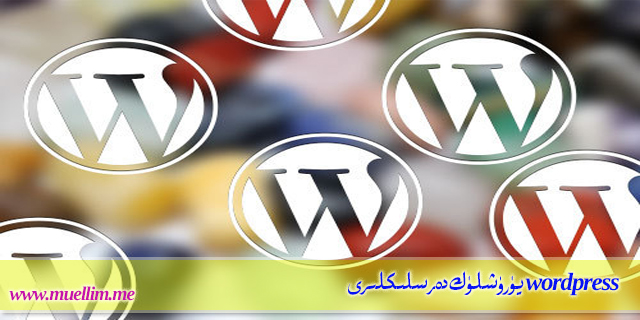 wordpress يۈرۈشلۈك دەرسلىكلىرى