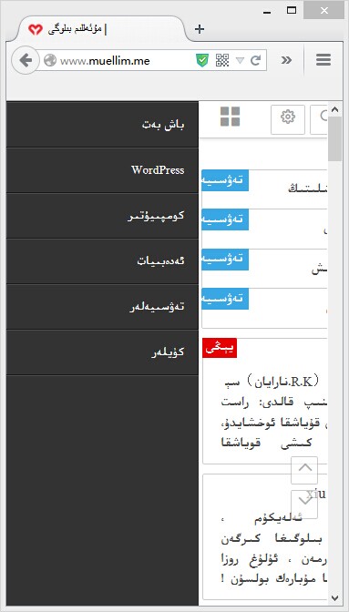 ماسلىشىشچان بىلوگ ئۇسلۇبى : Ality