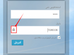 WordPress تە پارۇلنى كۆرسىتىش ۋە يوشۇرۇش