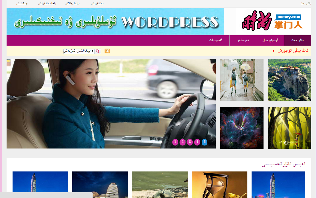 WordPress دۇكان ئۇسلۇبى (ھەقلىق)