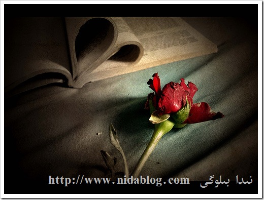 مۇھەببەت ھېكايىسى