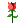 :rose: