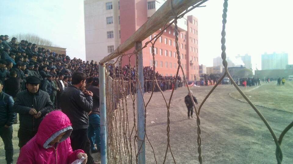 QQ图片20131125201020.jpg
