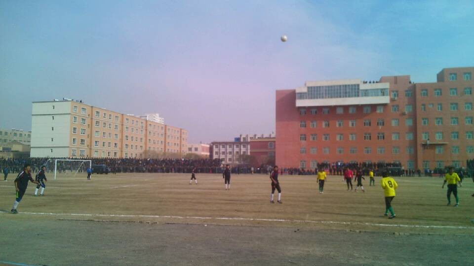 QQ图片20131125201035.jpg