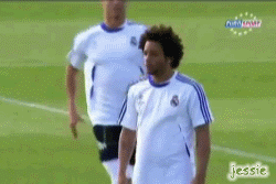 marcelo 3.gif