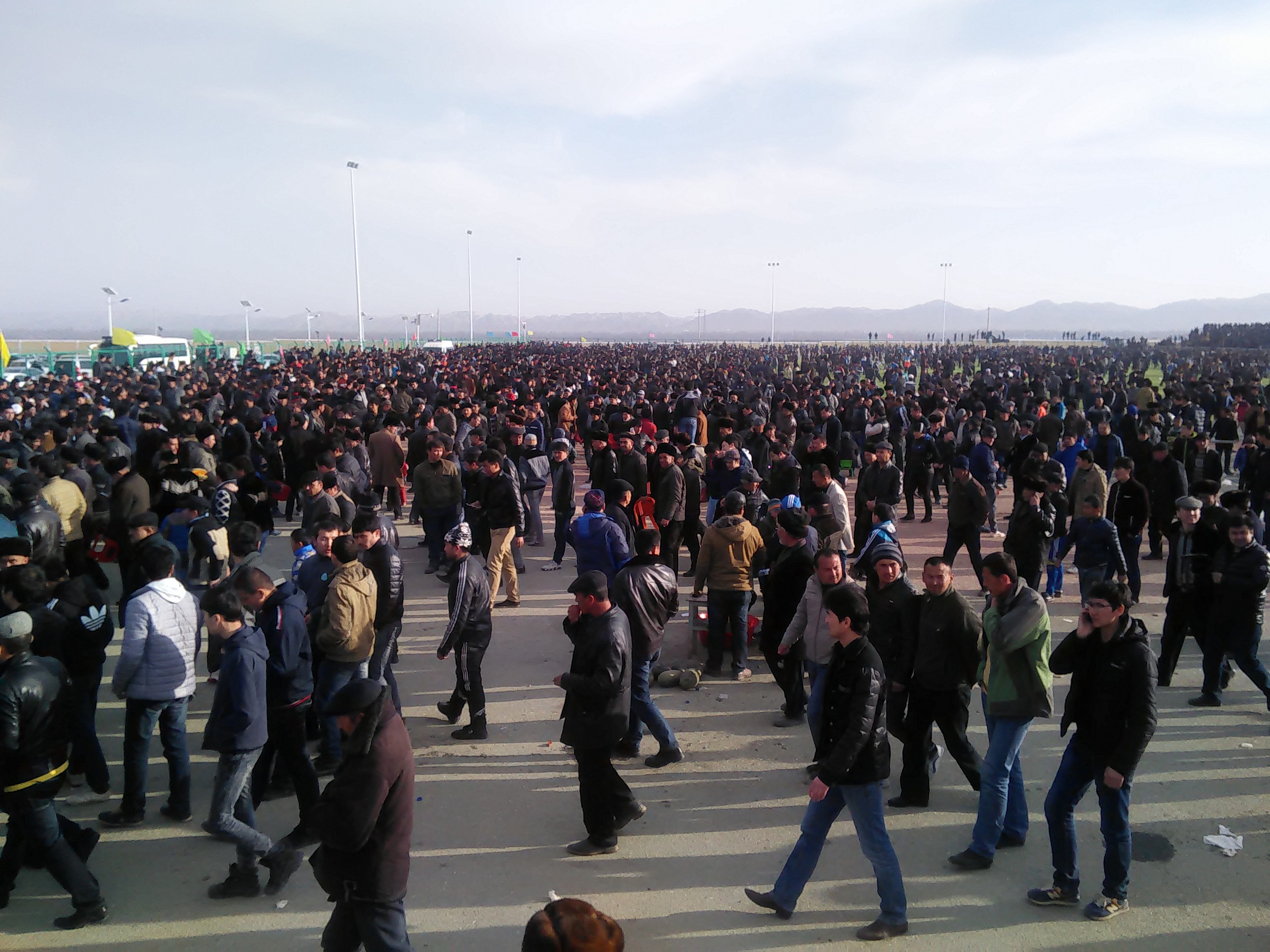 IMG20150214164455.jpg