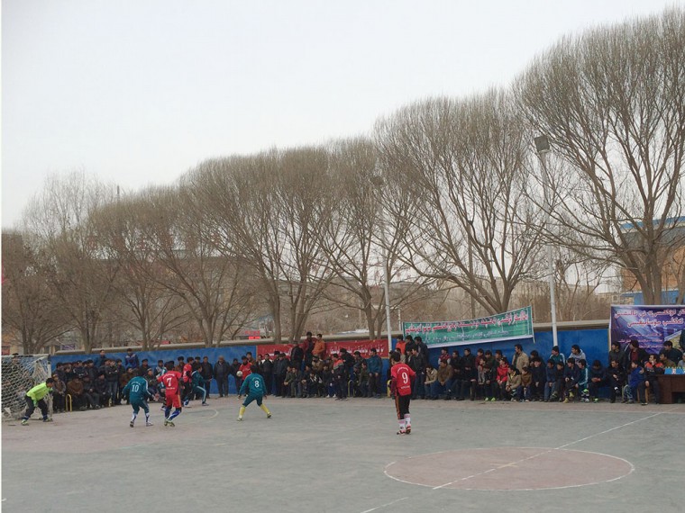 15.jpg