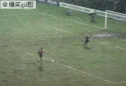 t01d83f5cd644e6178e.gif