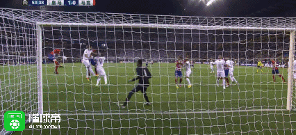 255-16052Z50Q4233.gif