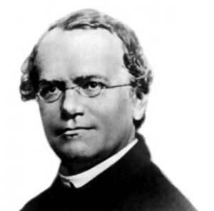 Gregor Mendel