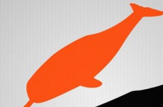 ئۇبۇنتۇغا VirtualBox 4.3.8 نى قاچىلاش ئۇسۇلى