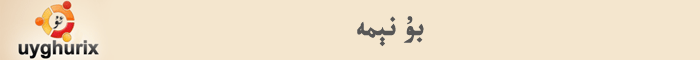 ئۇيغۇر ئىكس