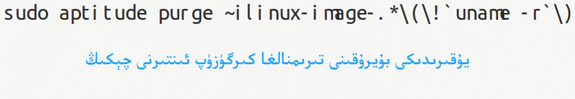 ئۇبۇنتۇ سىستېمسىدىكى كونا ئىچكى يادىرو ۋە ھۆججەتلەرنى ئۆچۈرۈش ئۇسۇلى