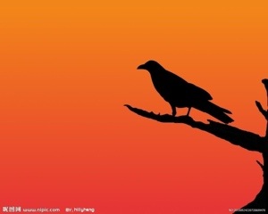 قاغا بىلەن ئارلاشساڭ يېيىشىڭ پوق