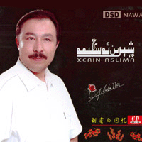 پلاستىنكا: شىرىن ئەسلىمە