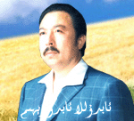 پلاستىنكا: گۈلشەندىكى نىدا