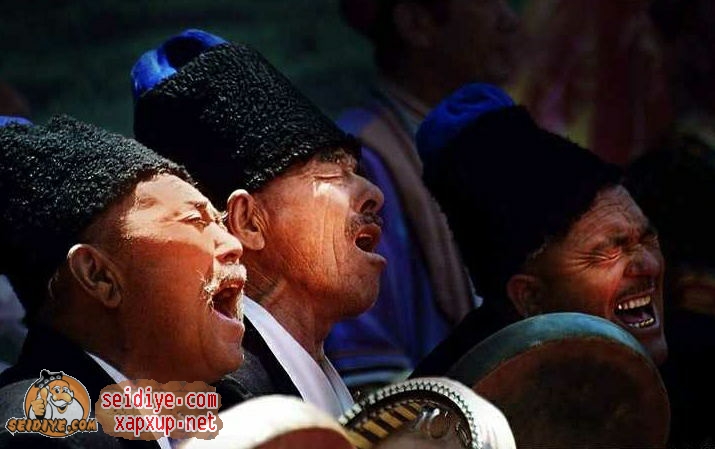 00008669_2345看图王_看图王.jpg
