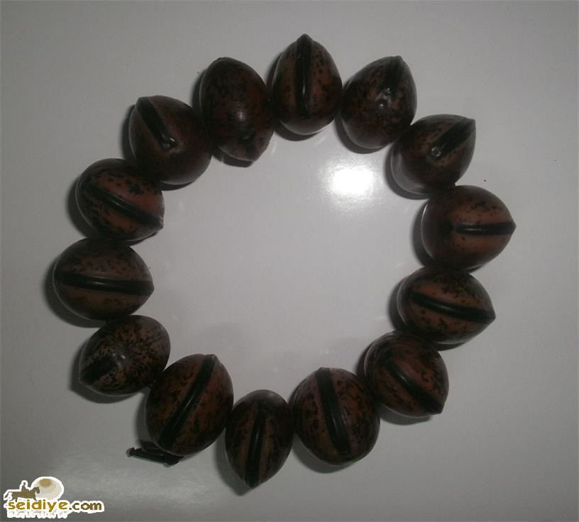 قاش تىشى سىرىق بىلەيزۈك
