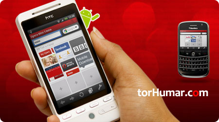 يانفوندا تورغا چىقىش ئۈچۈن چوقۇم زۆرۈر بولغان يۇمشاق دېتال - Opera Mini 5 تور كۆرگۈسى