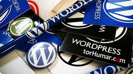 WordPress ئۆزى تەمىنلىگەن فۇنكىسىيەلەر ئارقىلىق بېكەت ئۇچۇرلىرىنى سىتاتسىكىلاش