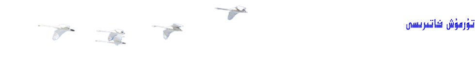 تۇرمۇش خاتىرىسى