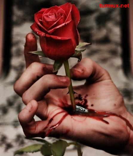 ئازاپ – ئوقۇبەتنىڭ ھەقىقى مەنىسىنى چۈشىنەمسىز ؟
