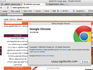 chrome12_1-300x225.png