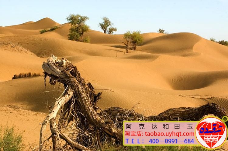 ئالتۇن قەدىمقى شەھەر خارابىسى