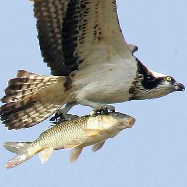 بىر كېچىدىلا مىليادىر بولۇش چۈشىنى كۆرمەڭ