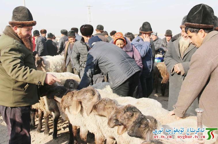جاغدا كەنتى ئىسسىق قوتان قۇرۇلۇشى تۈر مەبلىغىنى تولۇق ئەمەلىيلەشتۈردى