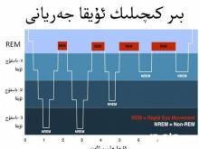 ئۇيقۇ تۇرى باسقۇچى