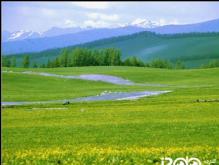 نارىنشا چارۋىچىلىق فېرمىسى