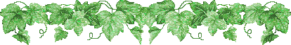 11.gif