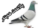 بۇنى چېكىپ كۆرۈڭ