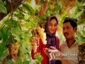 ئەڭ يېڭى رەسىملىك خەۋەر:خوتەن ۋىلايىتى باغۋەنچىلىك بازىسى بەرپا قىلىشنى زور كۈچ بىلەن ئىلگىرى سۈردى